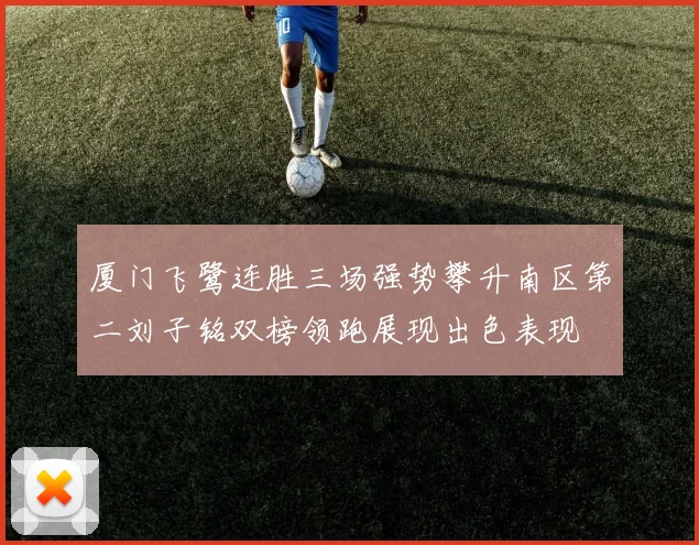 厦门飞鹭连胜三场强势攀升南区第二刘子铭双榜领跑展现出色表现